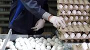 قیمت واقعی تخم‌مرغ چقدر است؟