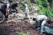 جسد دختر گمشده در ارتفاعات دماوند پیدا شد!