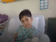 مرگ تلخ کودک ۴ ساله پس از حمله سگ ولگرد