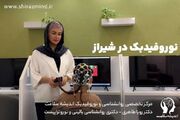 بهترین دکتر نوروفیدبک در شیراز کیست؟ آدرس + نظر واقعی مراجعین