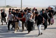 افغان‌ها در حال فرار از ایران!