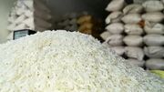 قیمت جدید انواع برنج هاشمی اعلام شد