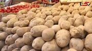 سیب زمینی ارزان راهی بازار می‌شود