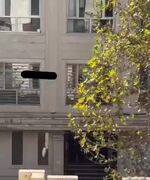 ماجرای شوکه‌کننده «میلی گلد» و طلاهای دودشده مردم