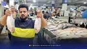 این ماده غذایی از سفره جنوبی‌ها ناپدید شد!