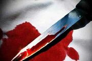 قتل مادر بر سر یک بشقاب قورمه‌سبزی!