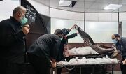 بعد از کرونا و جنگ شاید مردم ایران به طاعون سلام کنند!