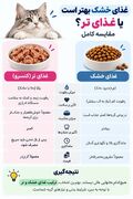 چه غذایی برای گربه خوبه؟ راهنمای کامل تغذیه گربه