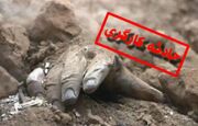 فاجعه مرگبار در ساختمان ۷ طبقه اهواز