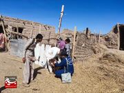 واکسیناسیون۱۵۰۰ راس دام در مناطق روستایی و عشایری زاهدان