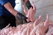 عرضه مرغ متعادل می شود