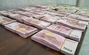 علت ذخیره ریال ایرانی در عراق و پاکستان