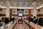 شهرری | برگزاری نشست تخصصی کمیته ملی «نماد»؛ تقدیر از بهزیستی برای پیشرو بودن در حمایت‌های اجتماعی