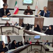 برگزاری جلسه توجیهی طرح «سنجش سلامت روان» ویژه مراکز غیر دولتی و داوطلبین در اداره بهزیستی بشرویه