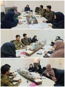 نشست کمیته توانبخشی بهزیستی بیرجند برگزار شد