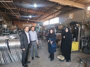 ارزیابی یک طرح اشتغال‌زا برای مددجویان بهزیستی در فامنین