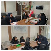 برگزاری نشست تخصصی سلامت اجتماعی در سربیشه