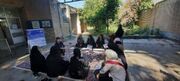 برگزاری کلاس ورزشی ویژه زنان سرپرست خانوار و خانواده‌های دارای معلولیت در دزفول