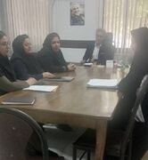 شیراز|برگزاری کمیته تخصصی جهت خدمت گیرندگان خانه تلاش و خانه امن با حضور جانشین مدیر بهزیستی شیراز