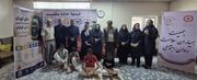 تأکید مدیرکل امور فرهنگی و اجتماعی استانداری البرز بر تقویت حمایت‌های اجتماعی از کودکان کار