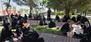 گزارش تصویری | طبیعت‌گردی و نشاط سالمندی در همدان