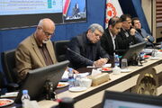 اجرای طرح کاهش خودکشی در ۱۵ استان پرخطر؛ سالمندان، پدربزرگ و مادربزرگ کودکان بهزیستی می‌شوند
