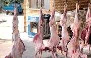 اهدای ۲۳ رأس گوسفند قربانی به مرکز سالمندان و معلولین ذهنی فاطمه‌الزهرا(س)