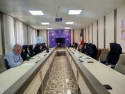 بررسی روند اجرای طرح ملی سنجش سلامت روان در رزن