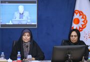 راه‌اندازی خانه هنر و توسعه مراکز اتیسم؛ برنامه‌های جدید بهزیستی برای توانمندسازی معلولان