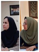 پیشگیری از ناشنوایی ۲۹۸ کودک در خراسان جنوبی طی ۱۷ سال ؛غربالگری ۲۵۶ هزار نوزاد در استان