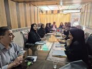 کمیته توانبخشی بهزیستی نهاوند با حضور کارشناسان استانی برگزار شد