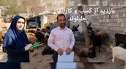 فیلم| اشتغال تا توانمندسازی؛ بازدید از چند طرح موفق در شهرستان نهاوند به مناسبت هفته بهزیستی