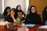 لزوم هم‌افزایی ساختاری در تدوین استانداردهای زبان اشاره؛ گامی برای تحقق عدالت ارتباطی ناشنوایان
