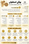 اینفوگرافیک | پوکی استخوان؛ بیماری خاموش و قابل پیشگیری با اصلاح سبک زندگی