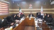 بنیاد علوی و بهزیستی در مسیر تقویت همکاری برای حمایت از جامعه هدف