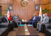 دیدار رئیس سازمان بهزیستی با ۶ نفر از نمایندگان مجلس