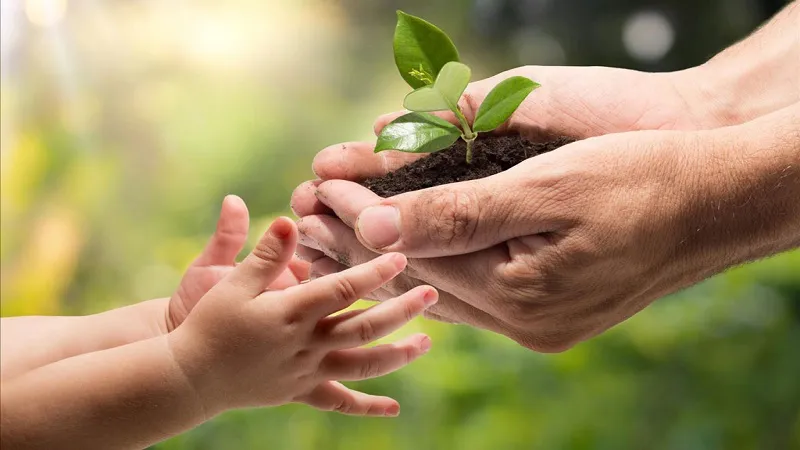 آموزش محیط‌زیست؛ از شعارهای کتابی تا تجربه زیسته