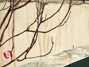 صدور هشدار زرد بارش رگبار و وزش باد شدید برای استان های کشور