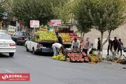 برخورد با تخلف وانت بارها وظیفه بر زمین مانده شهرداری است