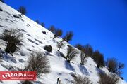 آماده‌باش یگان حفاظت محیط زیست در مناطق حساس کشور