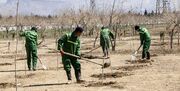 کاشت ۲۴ هزار درخت در بوستان های منطقه ۵ تهران