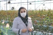 جوان کارآفرین اردبیلی با راه‌اندازی گلخانه دانش‌بنیان برای بیش از ۳۷۰ نفر اشتغال ایجاد کرد