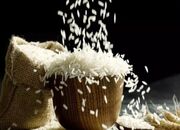 ذخایر برنج هند رکورد زد