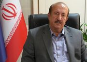 تک‌نرخی شدن ارز به ثبات بازار خودرو کمک می‌کند/ قیمت‌گذاری دستوری تنها با تشخیص شورای رقابت امکان‌پذیر است