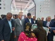 وزیر ارتباطات و فناوری اطلاعات وارد بندرعباس شد