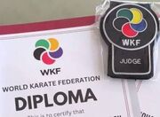 موفقیت ۴۳ داور کاراته ایرانی در کلینیک ارتقا داوری جهانی