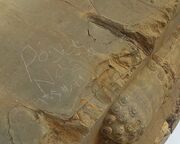 توضیح مجموعه جهانی تخت جمشید در خصوص یادگاری‌نویسی در دروازه ملل