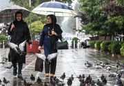 رگبار باران و رعد و برق در ۱۴ استان کشور