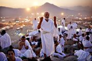 از عرفات تا قربان؛ روایت انسان در مسیر تسلیم