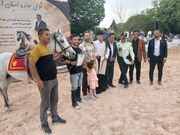 شوی سواره اسبان اصیل (سوار خوبی) با شکوه خاصی در قزوین برگزار شد